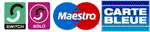 Switch / Solo / Maestro / Carte Bleue