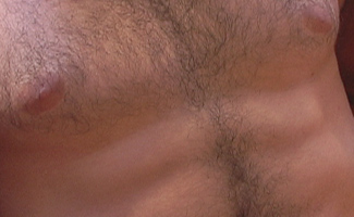 Muscular and Toned Hairy Hunk Jerry Vale